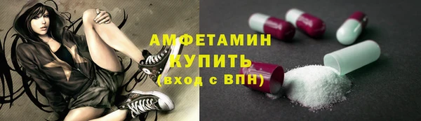 дурь Бородино