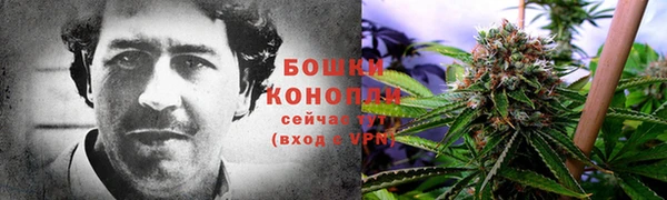 дурь Бородино