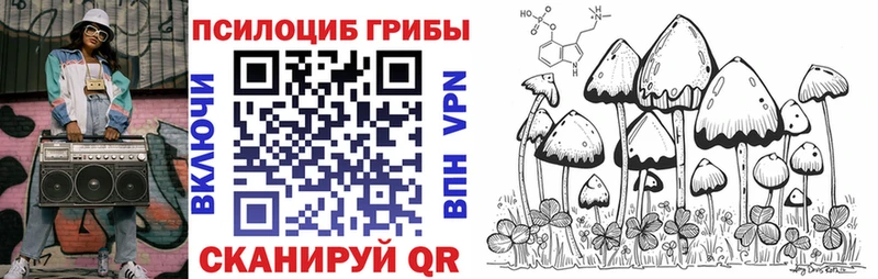 наркошоп  Вилюйск  Галлюциногенные грибы Psilocybine cubensis 